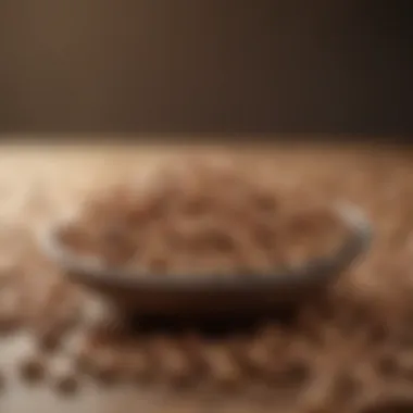 Nutritional Profile of Beans Nutritional information highlighting the benefits of beans