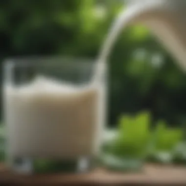 Nature's Nourishment Close-up of high protein low fat milk with green leafy background
