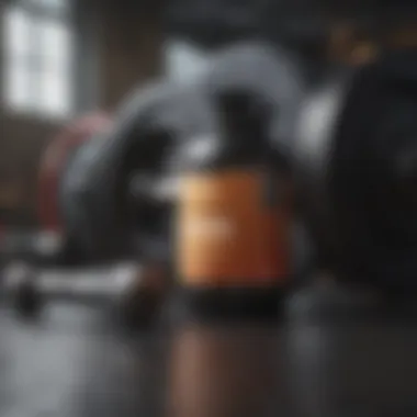Weight Lifting Equipment Essentials