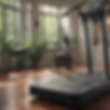Cardio Circuit for Morning Fitness Routine Morning Fitness Routine - Cardio Circuit