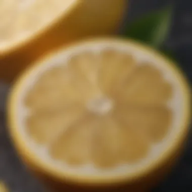 Citrus Bliss - Whole Lemon Sliced in Cross Section