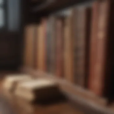 Immersed in Classic Literature Classic Bookshelf