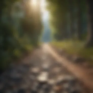 Pathway to Financial Freedom Debt-Free Future Strategy