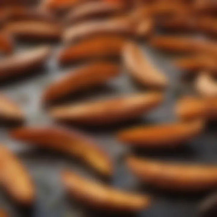 Deliciously Spiced Baked Sweet Potato Fries