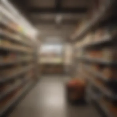 A well-organized grocery shopping list on a kitchen counter