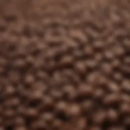 A close-up of coffee beans showcasing their rich textures and colors.