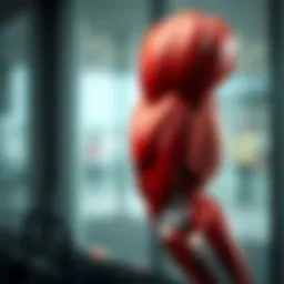 Anatomy of the tricep muscles showing muscle structure and function