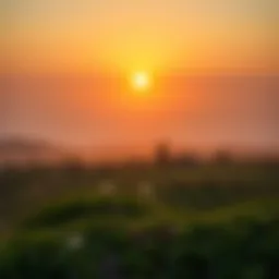 A serene landscape symbolizing tranquility and self-reflection