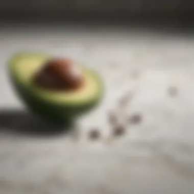 Avocado half with a seed on a marble countertop