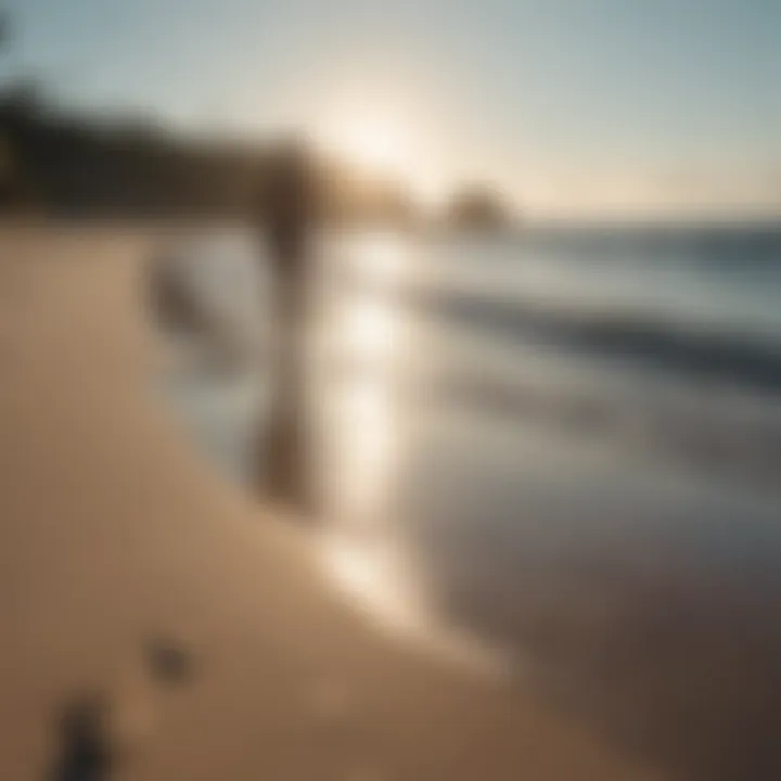 A pair walking along a tranquil beach