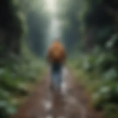 Journey to Personal Growth A conceptual image showing the journey of personal growth