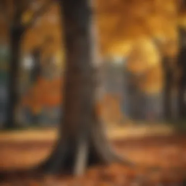 A tree shedding its leaves in autumn, representing the natural process of letting go