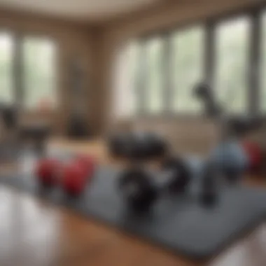 Dumbbells and exercise mat in a well-equipped home gym