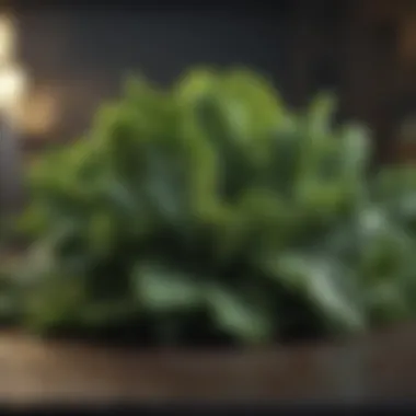 Fiber-Rich Leafy Greens Green leafy vegetables