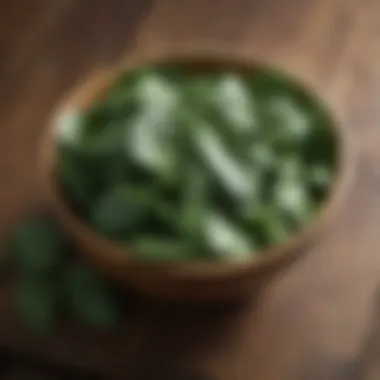 Fresh spinach leaves in a wooden bowl