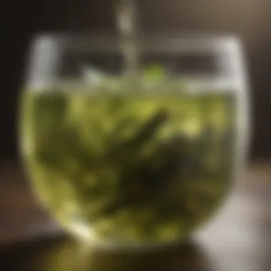 Delicate Green Tea Infusion Green tea infusion with steam rising delicately