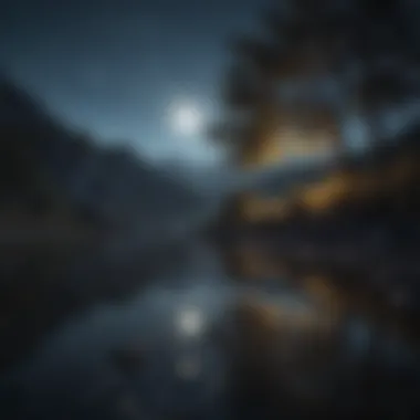 Soothing Moonlit Landscape Soothing Moonlit Landscape