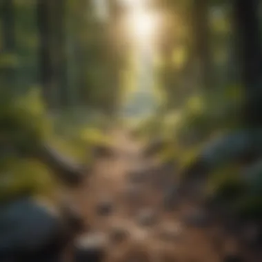 Peaceful Nature Sounds Peaceful Nature Sounds