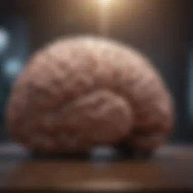 Brain Activity During Meditation Visualization of brain activity during meditation