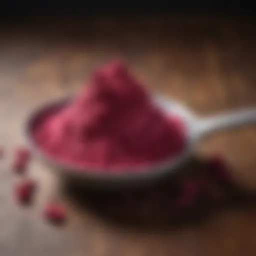 Vibrant beetroot powder displayed in a bowl with a spoon