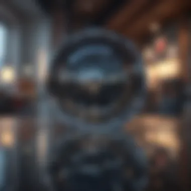 Digital Reflections