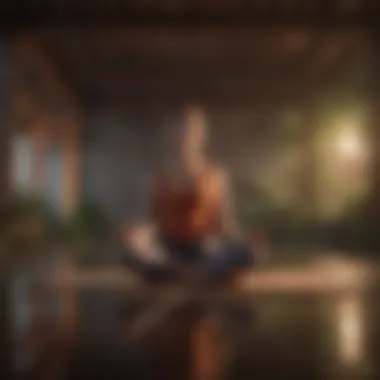 Mindful Meditation Practice Mindfulness and meditation for mental well-being