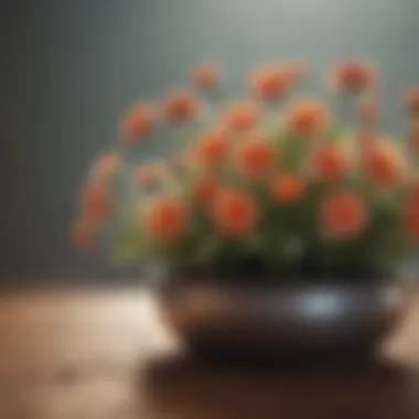 Blooming Wellness Illustration symbolizing mental health growth with blossoming flowers