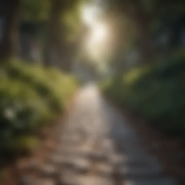 Mysterious Literary Pathway Mysterious Literary Pathway