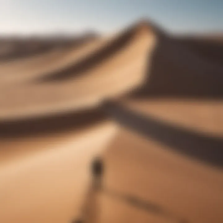 Lonely silhouette in a vast desert landscape