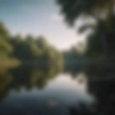 Person sitting in solitude by a serene lake surrounded by nature