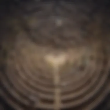 Harmonious Maze A labyrinth with a clear path signifying finding harmony in life's complexities