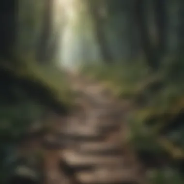 A winding path through a forest, illustrating the journey of change and discovery.