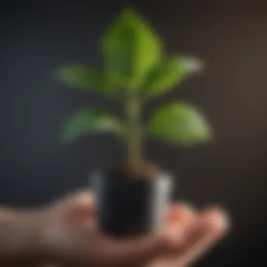 Nurturing Growth A symbol of personal growth depicted through a flourishing plant
