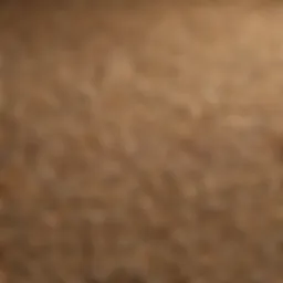 A close-up view of barley grains showcasing their texture and color.