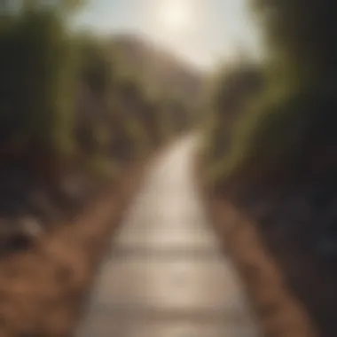 Pathway to Empowerment and Achievement A pathway leading toward a bright horizon, symbolizing empowerment