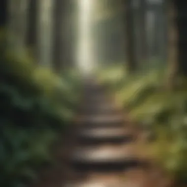 Navigating the Path of Growth Pathway through a forest symbolizing the journey of personal development