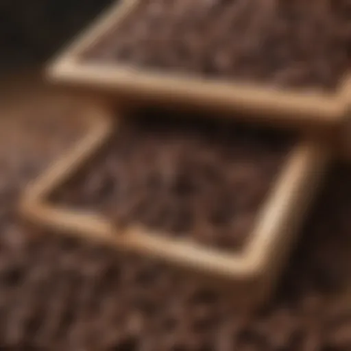 Gourmet Coffee Beans in Wooden Container