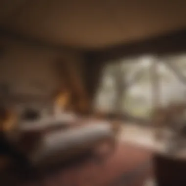 Wilderness Retreat Luxurious tented accommodation in the wild
