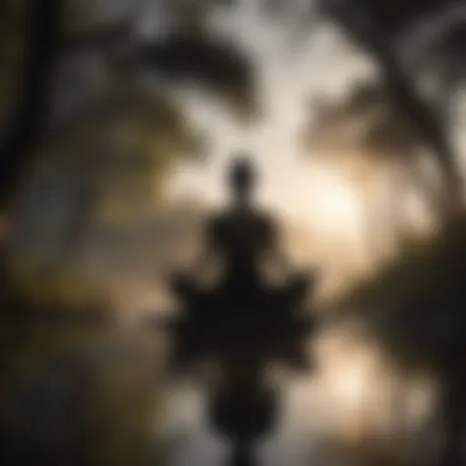 Silhouette of person meditating in serene nature