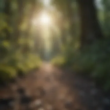 Finding Peace Through Nature Exploration Nature walk promoting mental tranquility and focus