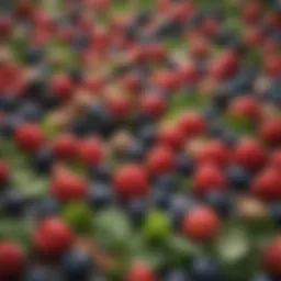 A vibrant array of brain-boosting foods including berries, nuts, and green leafy vegetables.