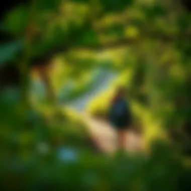 Finding Serenity in Nature Nature walk for mental peace