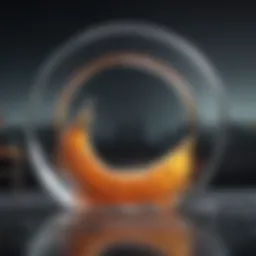 The Impact of Omega-3 on Energy Levels Introduction