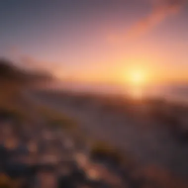 A vibrant sunrise symbolizing new beginnings and optimism