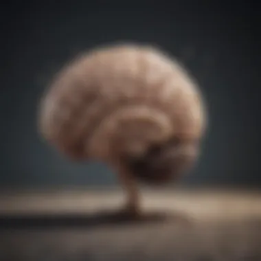 Conceptual illustration of brain agility development with cognitive training