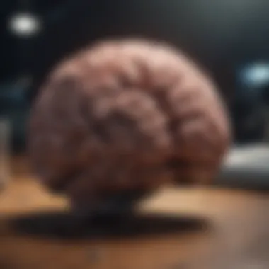 Visual depiction of brain performance optimization through cognitive tasks
