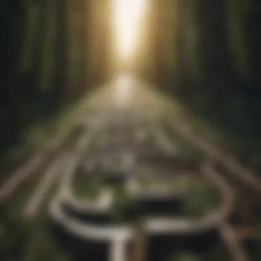 Navigating Growth Paths Maze symbolizing personal development journey