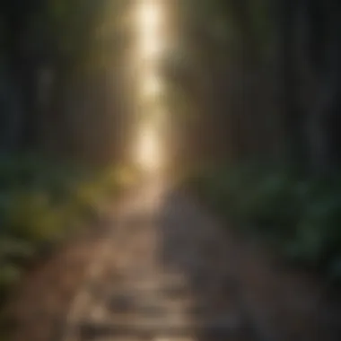 Path to Illumination Maze with a clear path leading to a shining light at the center