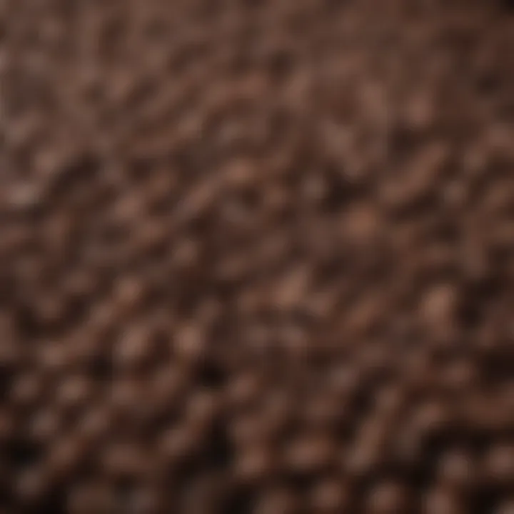 A variety of coffee beans in different shades and sizes