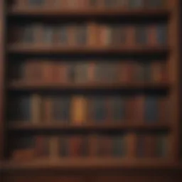 Reflecting on the Past: Illustration of a Vintage Bookshelf